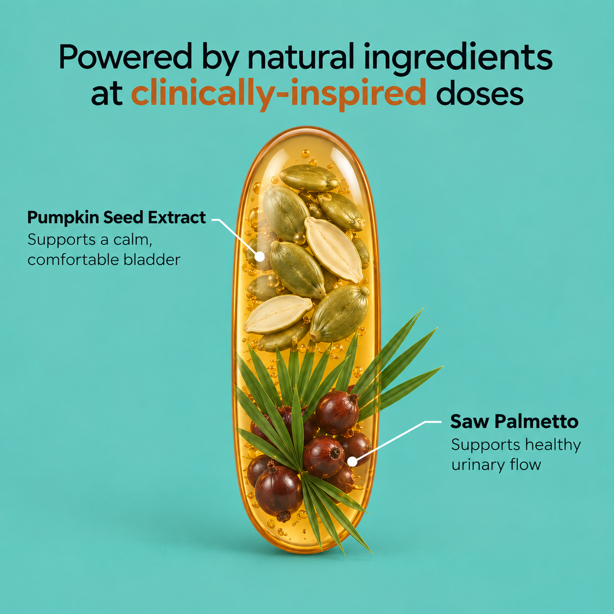 Pumpkin Seed Oil Softgels - Bladder Health Supplement